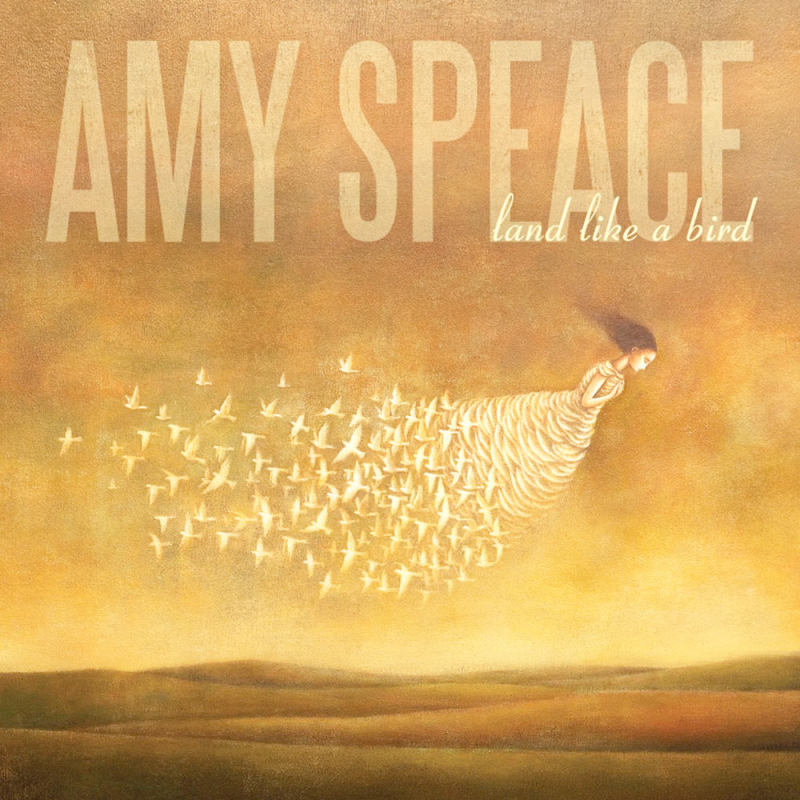 Freedom - cd cover art for Land Like A Bird by Amy Speace